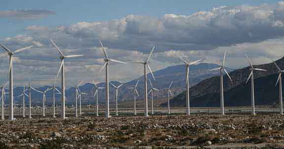 environmental study for windmill farm